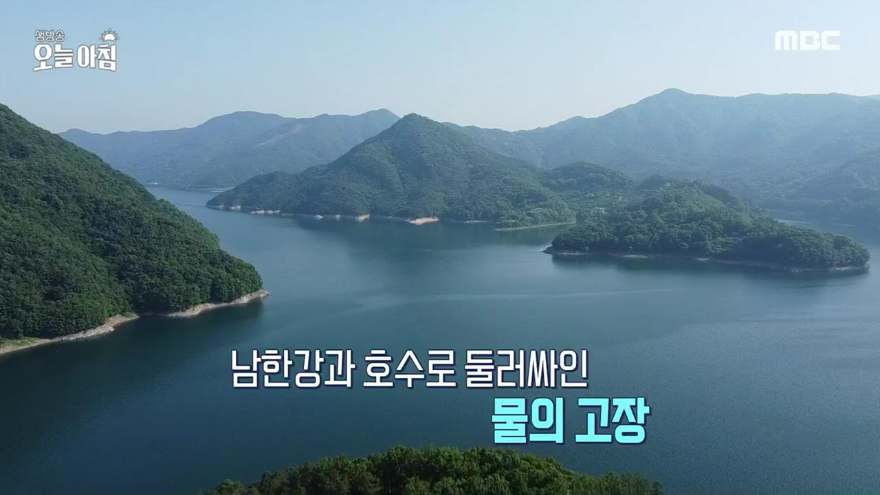 생방송 오늘 아침 4447회 재방송 다시보기 생방송 오늘 아침 4447회 재방송 다시보기