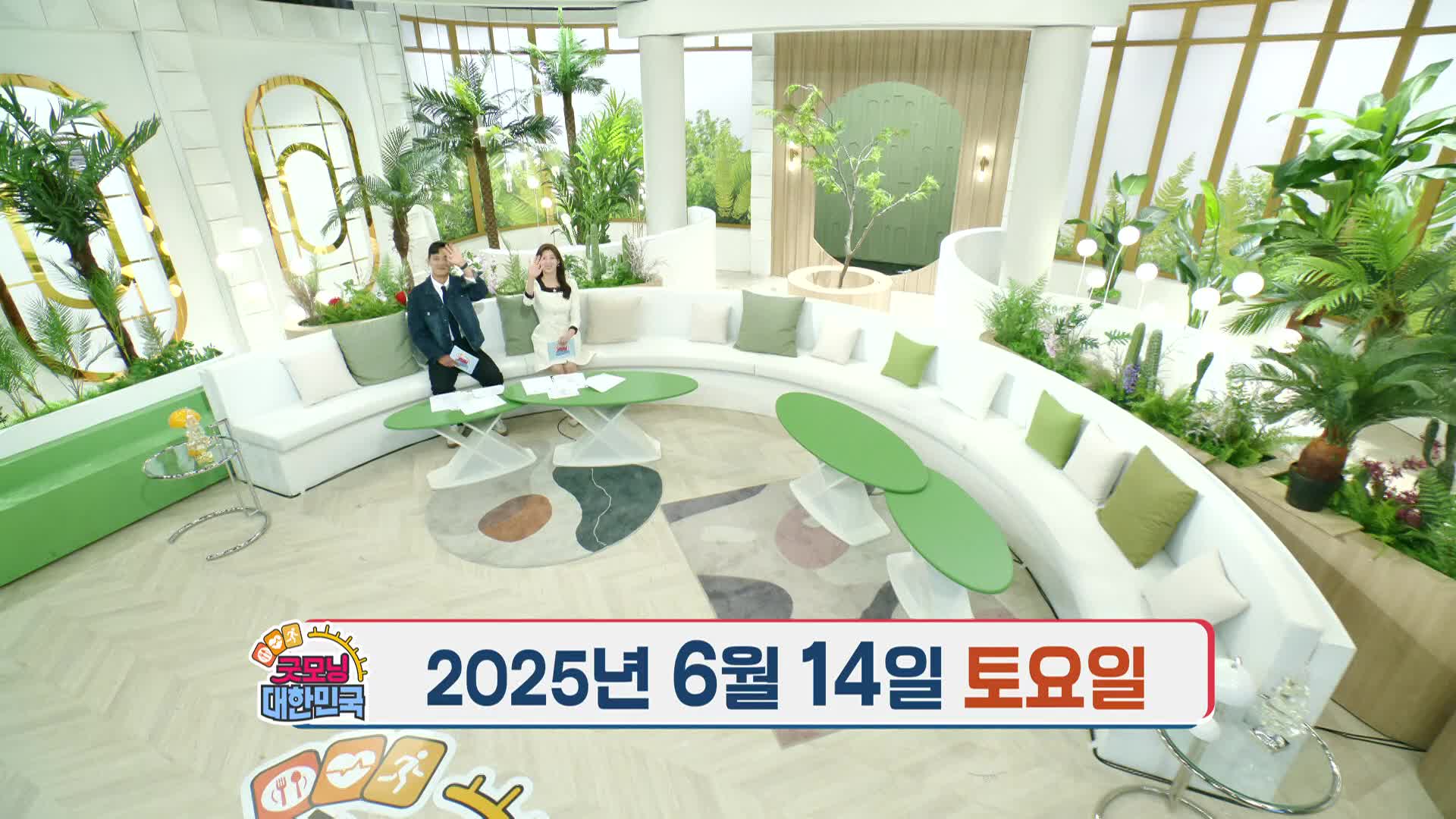 생방송 굿모닝 대한민국 31회 재방송 다시보기