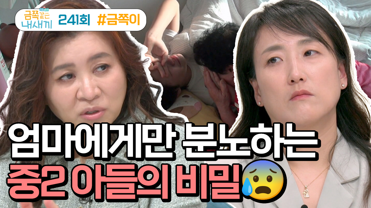 요즘 육아 금쪽같은 내새끼 241회 재방송 다시보기