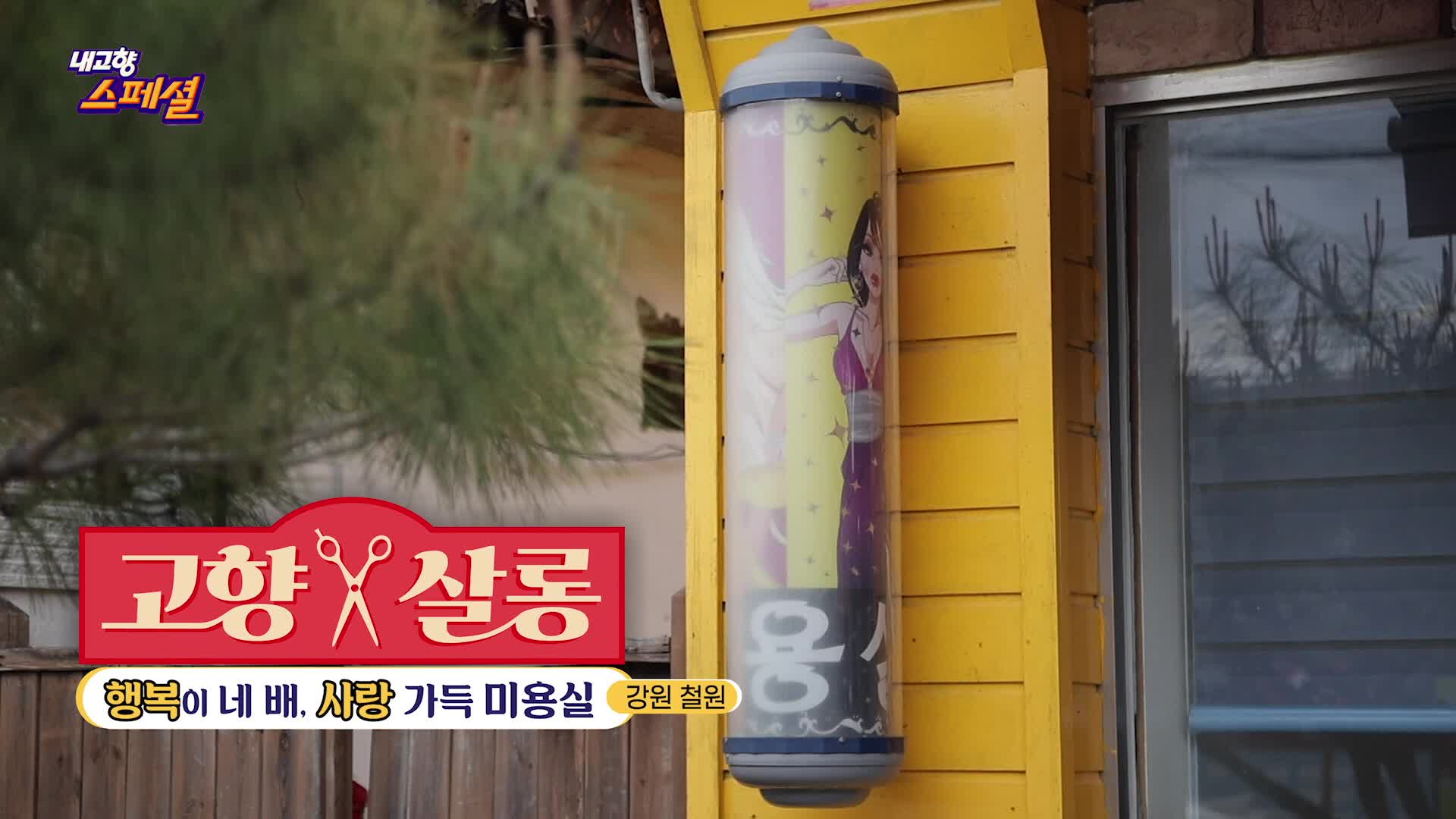 내고향 스페셜 2035회 재방송 다시보기