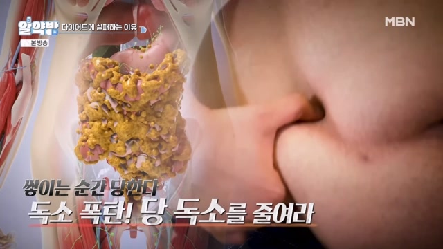 알약방 260회 재방송 다시보기