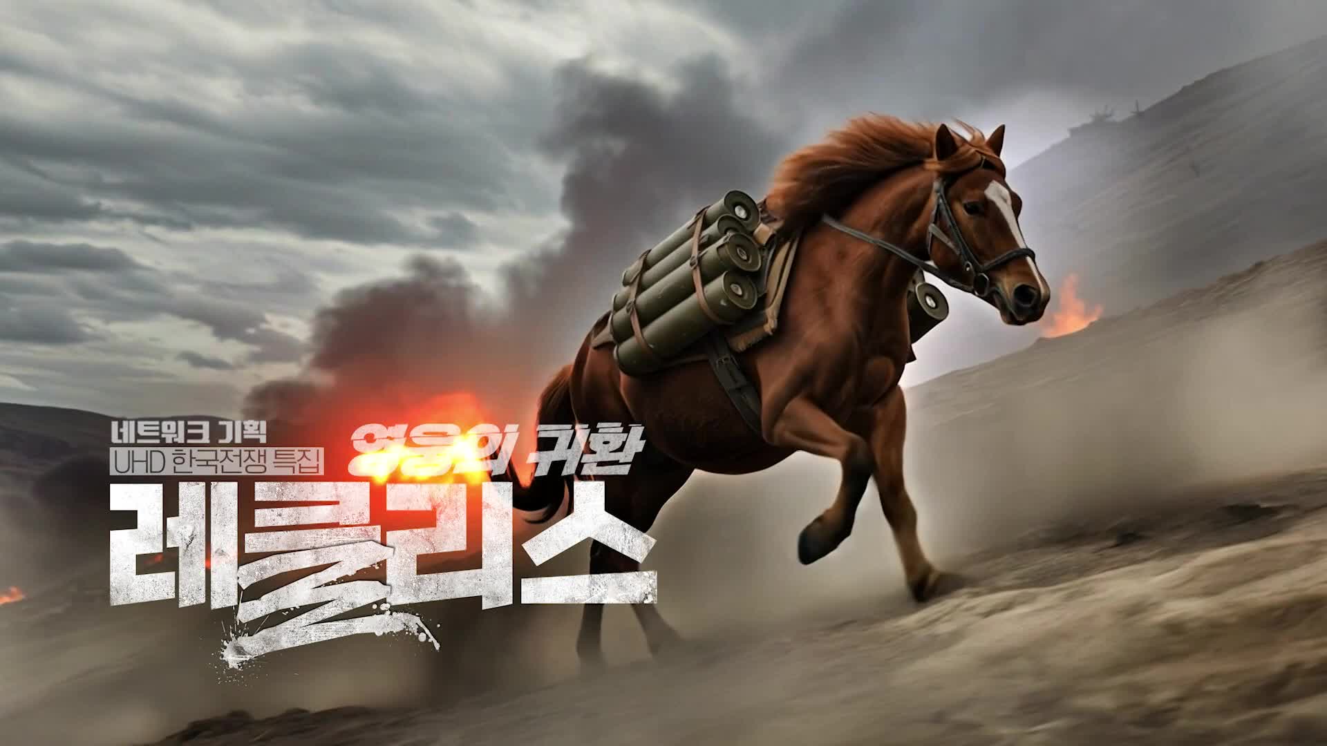 KBS 네트워크 기획 27회 재방송 다시보기