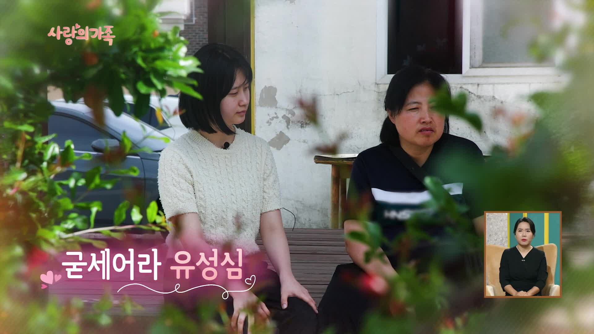 사랑의 가족 3072회 재방송 다시보기