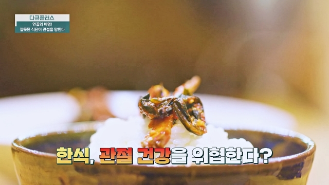 다큐 플러스 354회 재방송 다시보기