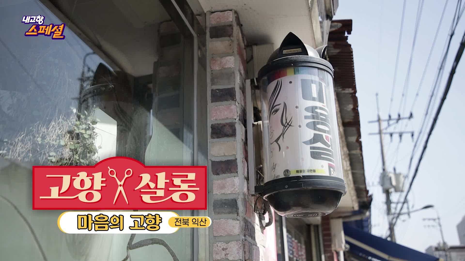 내고향 스페셜 2039회 재방송 다시보기
