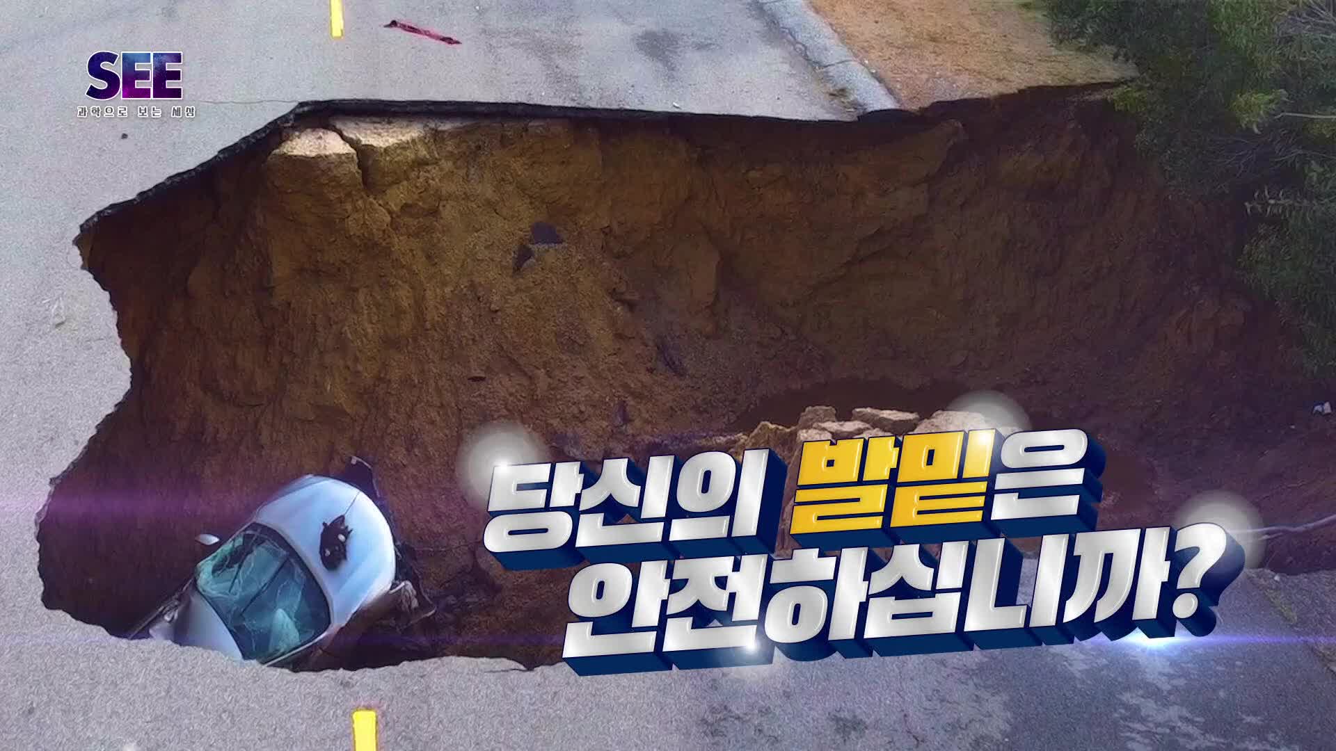 KBS 네트워크 특선 194회 재방송 다시보기