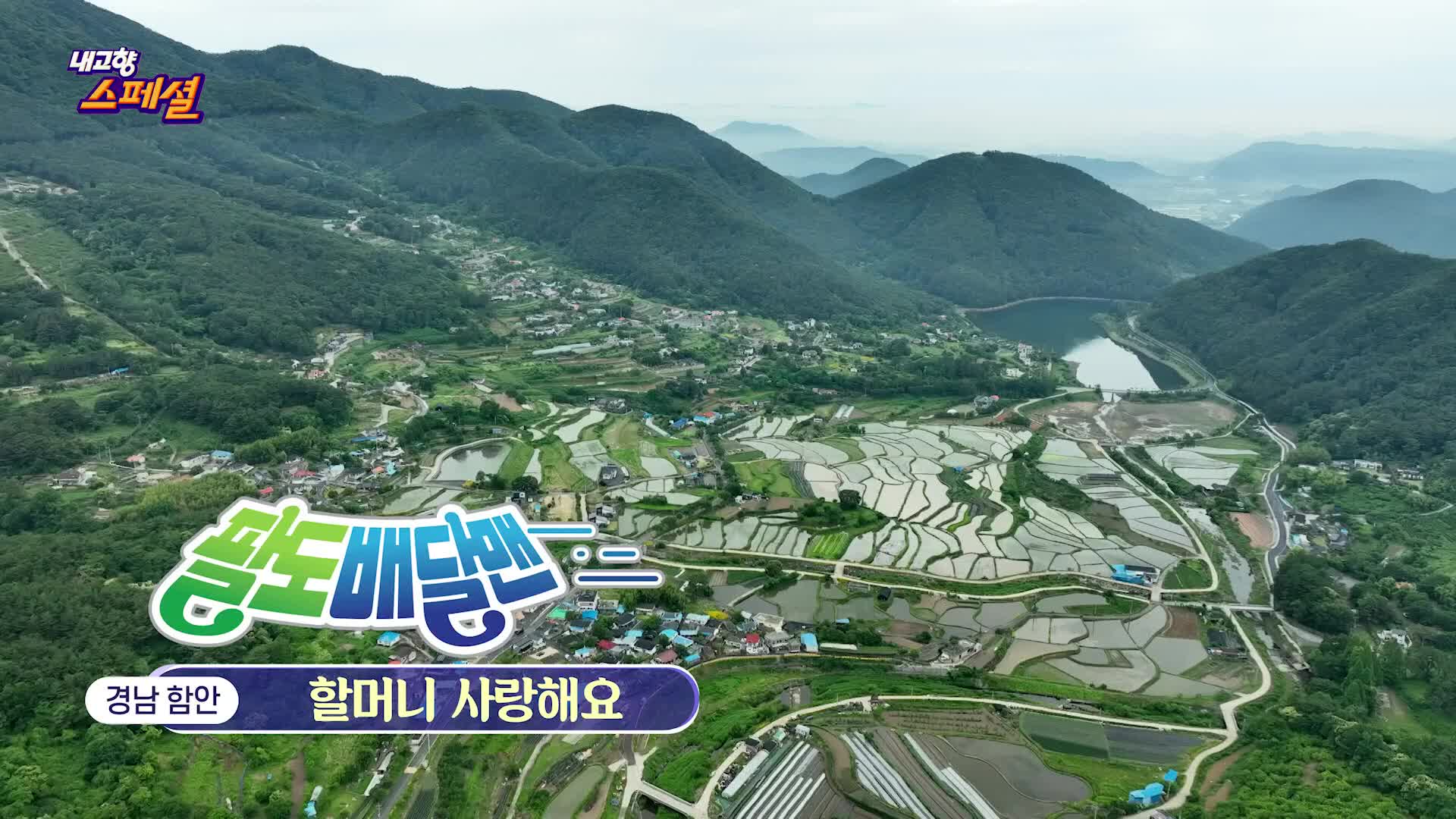 내고향 스페셜 2040회 재방송 다시보기